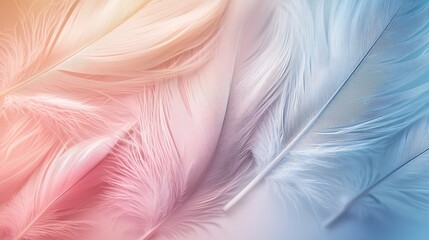 Fototapeta premium Elegant feather design with gradient pastel colors, perfect for tranquil themes or beauty products