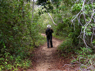 Obraz premium walk in the forest