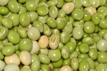 Green pigeon pea harvested from an agricultural field in Trinidad and Tobago and shelled from its pod.