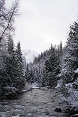 Naklejka premium Elevated Beauty: Frozen Canadian peaksA breathtaking view of frozen Canadian mountains at high elevations. Towering, snow covered peaks contrast against a vivid winter sky.