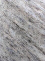 Texture of gray colored dry banana leaves in the garden