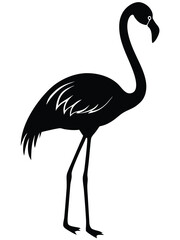 Fototapeta premium silhouette flamingo bird vector illustration clipart