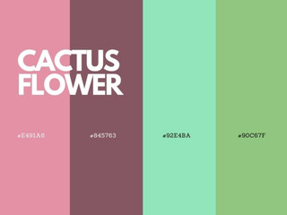 Cactus Flower Color Palette: Vibrant Pinks, Bright Yellows, and Earthy Green Tones
