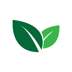 leaf icon