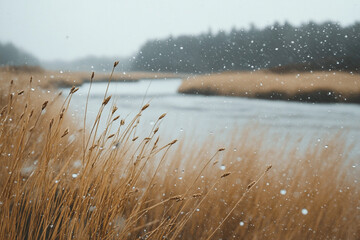 There is a small stream running through a lush green field