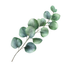 Obraz premium branch of eucalyptus leaves showcasing varying shades of green and a natural artistic style it can be used for design decoration or botanical references