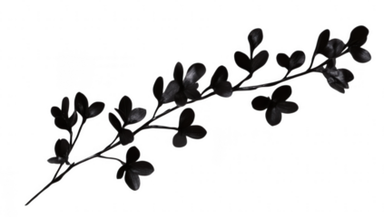 a black silhouette of a branch with leaves and flowers suitable for graphic design decoration or nature-themed projects