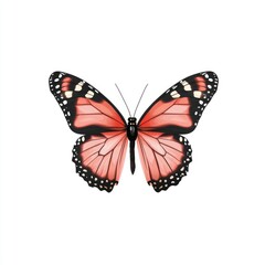 Naklejka premium Isolated Pink Butterfly, Flat Style, White Background