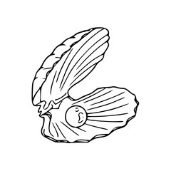 Fototapeta premium open oyster with pearl outline vector