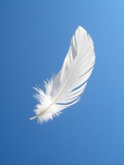 Naklejka premium A single white feather floats against a bright clear blue sky