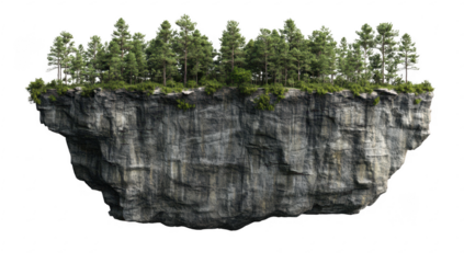 a floating rock formation with a dense cluster of evergreen trees on top creating a surreal and imaginative landscape