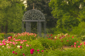  Botanical Garden