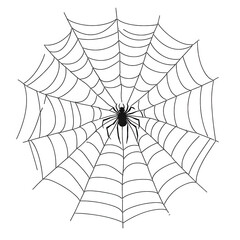 Fototapeta premium detailed spider web with a spider at its center illustrating the intricate design and structure of the web it serves as a graphic representation of nature's artistry
