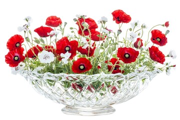 Red poppies and white flowers arrangement in an elegant crystal bowl, isolated on white