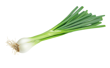 green onion isolated on the white background