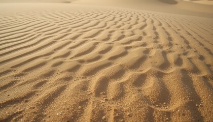 Fototapeta premium Ripples in Desert Sand