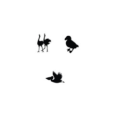 Animals  silhouette 