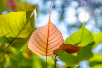 
Black rubber arms, hands and bracelets