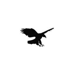 Animals  silhouette 