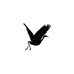 Obraz premium Animals silhouette 