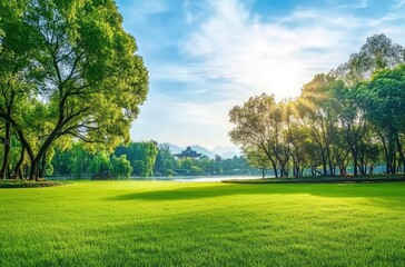 Obraz premium Lush Green Park with Trees and Sunlight