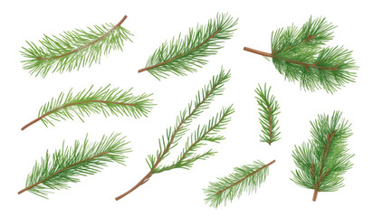 various illustrated pine branches arranged in different orientations showcasing their green needles and brown stems ideal for nature-themed designs or seasonal decorations