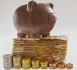 Petit cochon sur liasse de billets 
