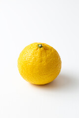 白背景に日向夏みかん