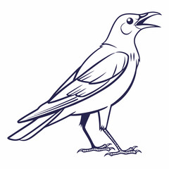 Obraz premium bird vector illustration image