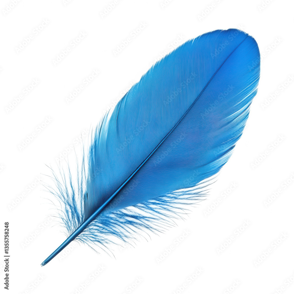 Poster a vibrant blue feather with delicate details showcasing its texture and color against a white backgr
