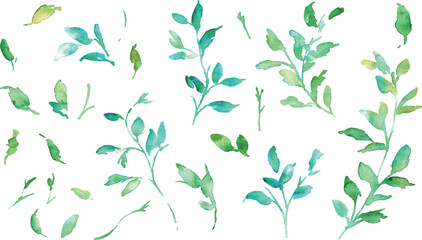 水彩画。水彩タッチの草木ベクターイラスト。葉っぱの水彩イラスト。植物ベクターフレーム。自然エコ。Watercolor painting. Watercolor touch grass vector illustration. Watercolor illustration of leaves. Plant vector frame. Nature ecology.