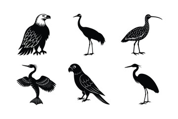 Fototapeta premium many kinds exotic birds silhouette vector illustration