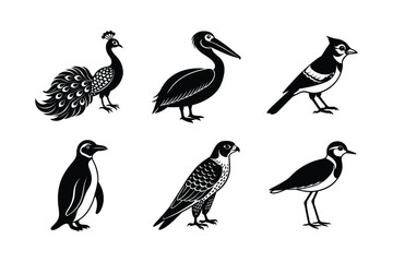 many kinds exotic birds silhouette vector illustration