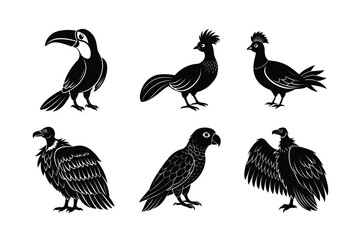 many kinds exotic birds silhouette vector illustration