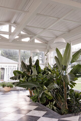 A stylish greenhouse with large windows, white wooden beams, and lush tropical plants. Concept modern interior design, sustainability, and biophilic architecture.