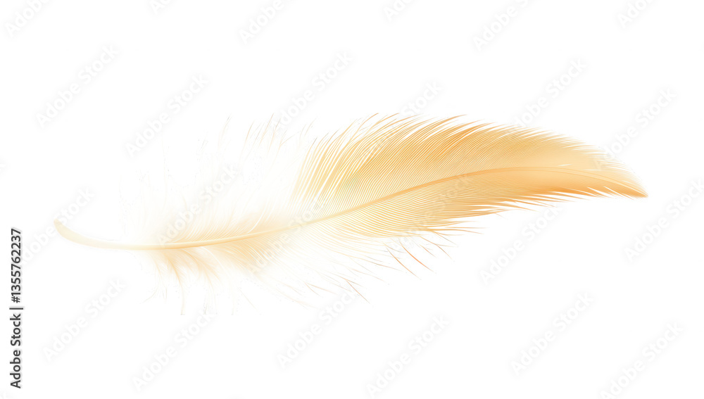Poster light-colored feather gently rests against a white background showcasing its soft texture and fine d