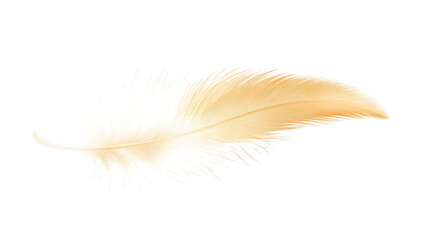 Obraz premium light-colored feather gently rests against a white background showcasing its soft texture and fine details evoking a sense of lightness and tranquility