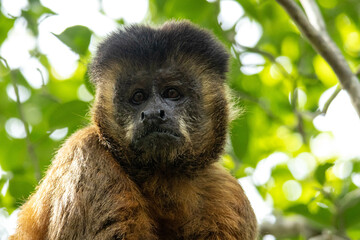 Serra da Capivara Piauí