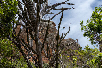 Serra da Capivara Piauí