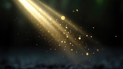 Obraz premium Dramatic spotlight illuminating a dark scene