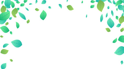 Forest Foliage  Leaves Motion Vector Transparent Background Illustration. Blur Greenery Design.