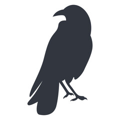 Silhouette of Halloween Raven. Vector Illustration Isolated on White Background.