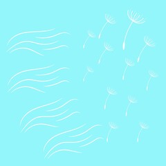 White dandelion seeds floating on a light blue background, perfect for spring, summer, and nature-themed designs.