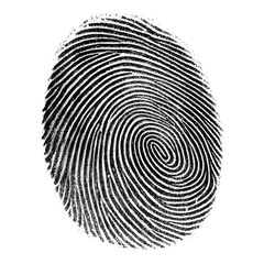 Single human fingerprint in black ink on a transparent or white PNG background.