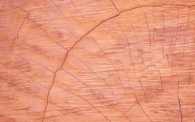 Old wood background, dark wooden abstract texture. 