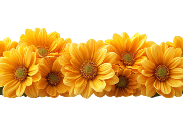 A vibrant display of yellow daisies arranged beautifully, perfect for floral decorations or brightening a space.