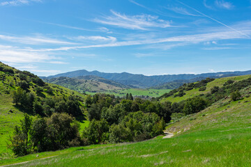 Rolling green hills with trees frame a winding dirt path leading into a valley, surrounded by...