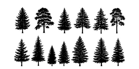 Obraz premium Pine tree silhouettes. Evergreen forest firs and spruces black shapes, wild nature trees templates. Vector illustration woodland trees set on white background