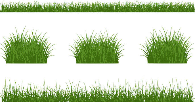 Green grass silhouette. Cartoon lines of plants and shrubs for boarding and framing, eco and organic logo element. Vector set spring field planting shapes lawn or borders garden on white background