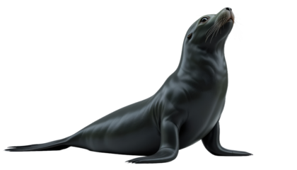Playful Pose: Photorealistic Close-Up of a Sea Lion